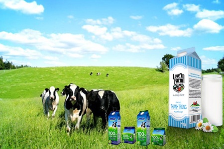 Dây chuyền sản xuất sữa thanh trùng - Sữa tươi nguyên chất
